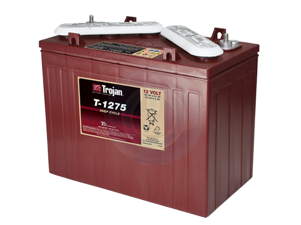 golf cart mobile service, mobile golf cart repair, battery charge